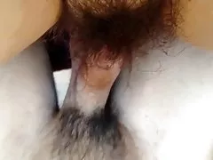 شعر الديك