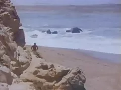 الكلاسيكية الأمريكية