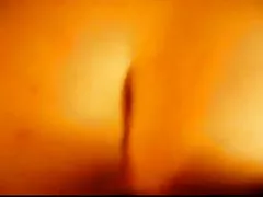 تتمتع الشرج