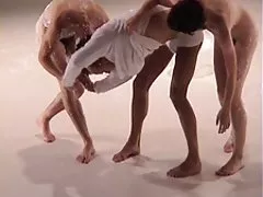الفن المثيرة