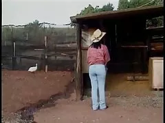 جنس شرجي