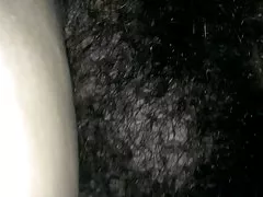 كبيرة بوش ماري